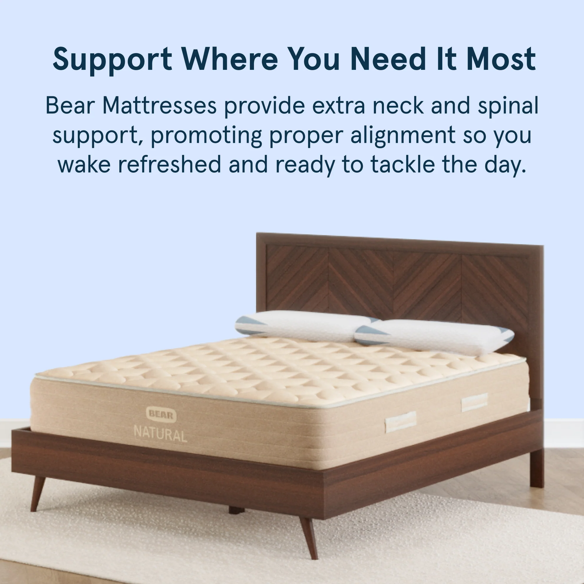 Bear Natural - Image 4