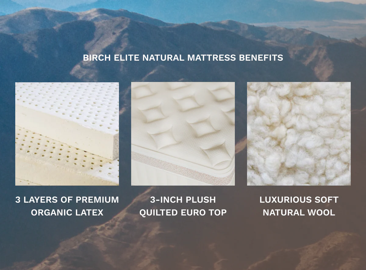 Birch Elite Natural Mattress - Image 5