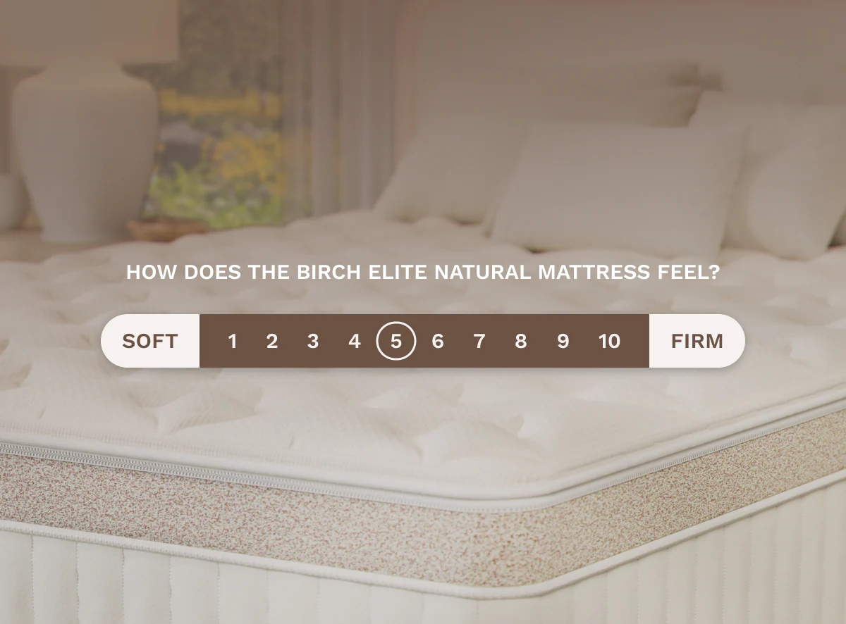 Birch Elite Natural Mattress - Image 6