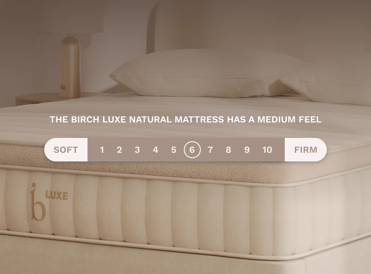 Birch Luxe Natural Mattress - Image 6