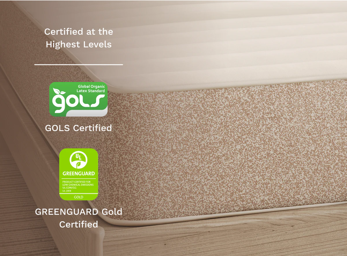 Birch Natural Mattress - Image 3