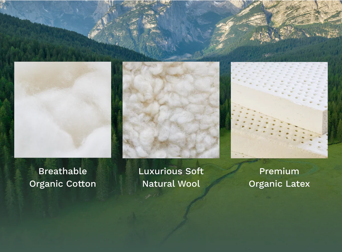 Birch Natural Mattress - Image 4