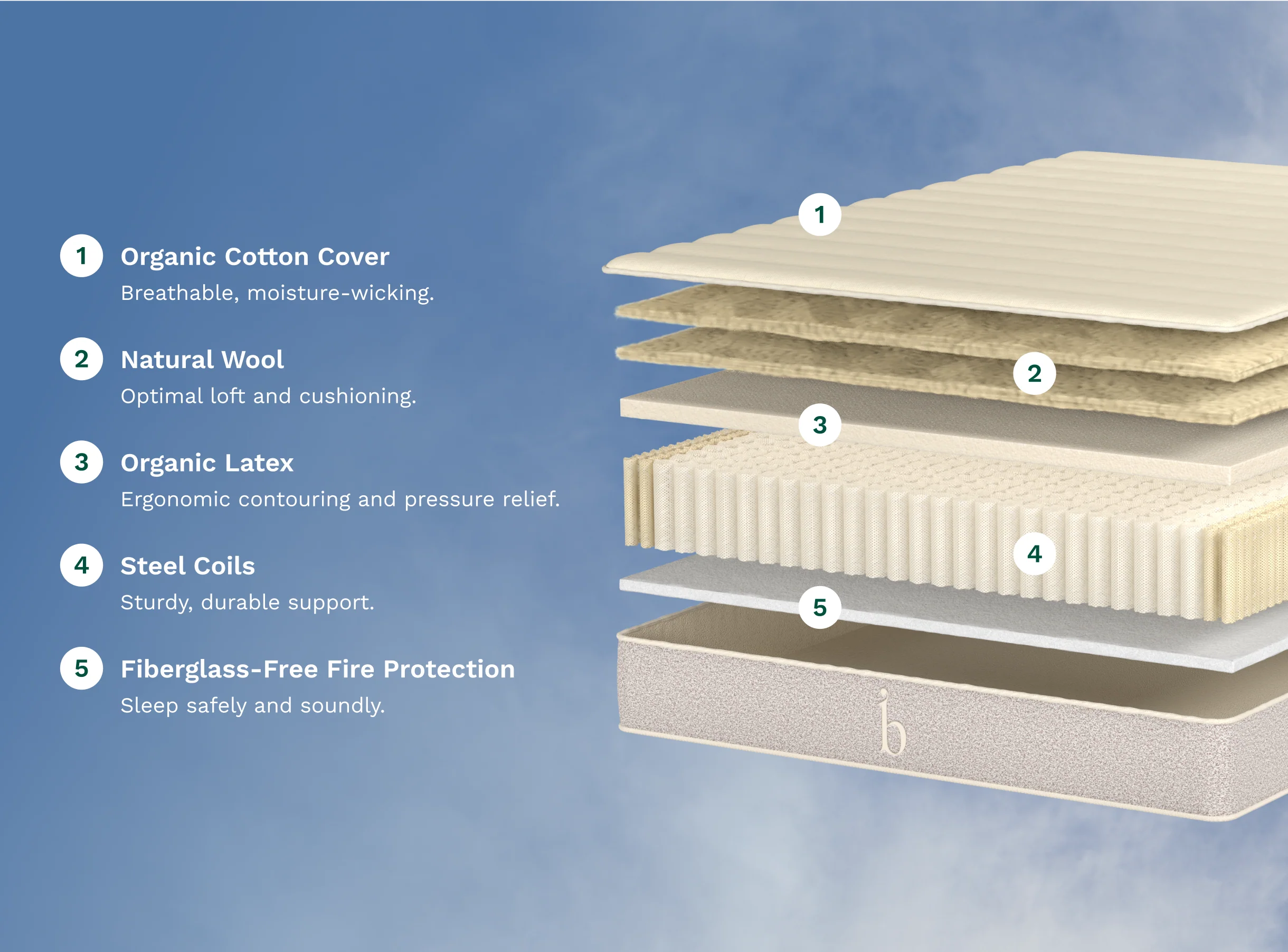 Birch Natural Mattress - Image 5