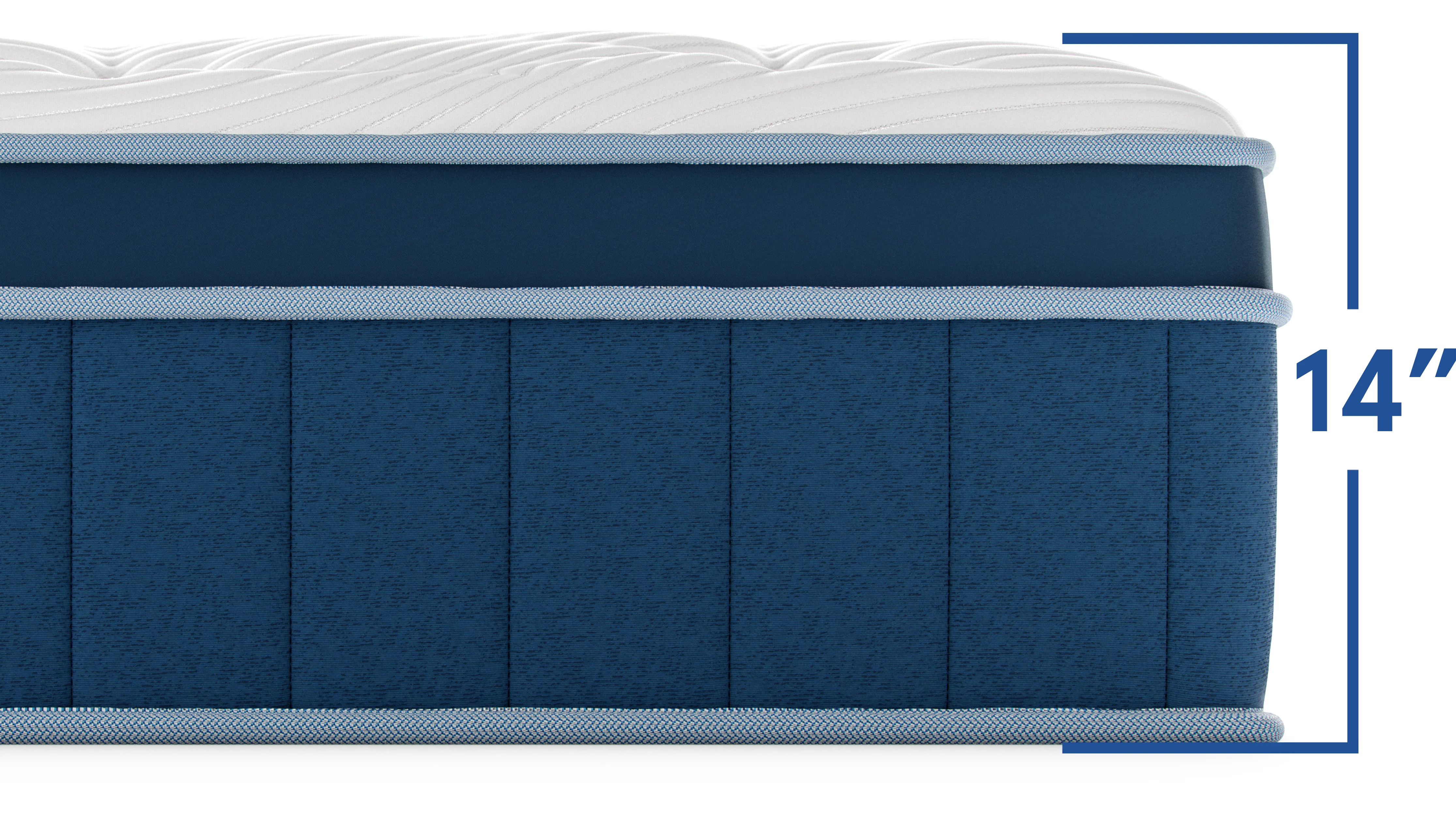 Bear Elite Hybrid - Image 7