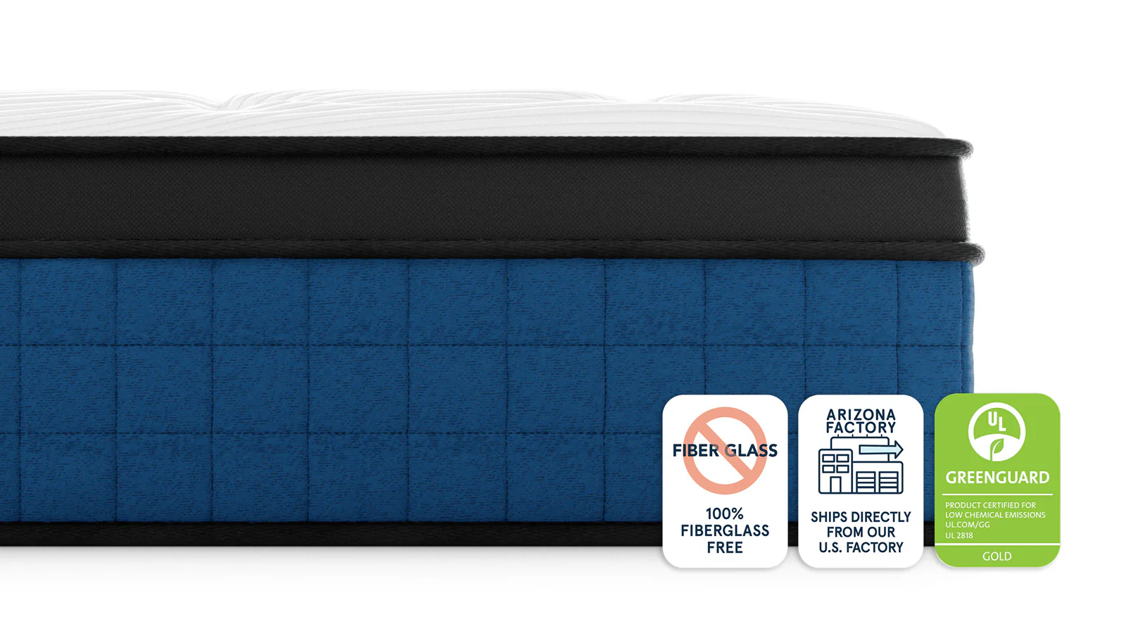 Bear Elite Ultra Hybrid - Image 4