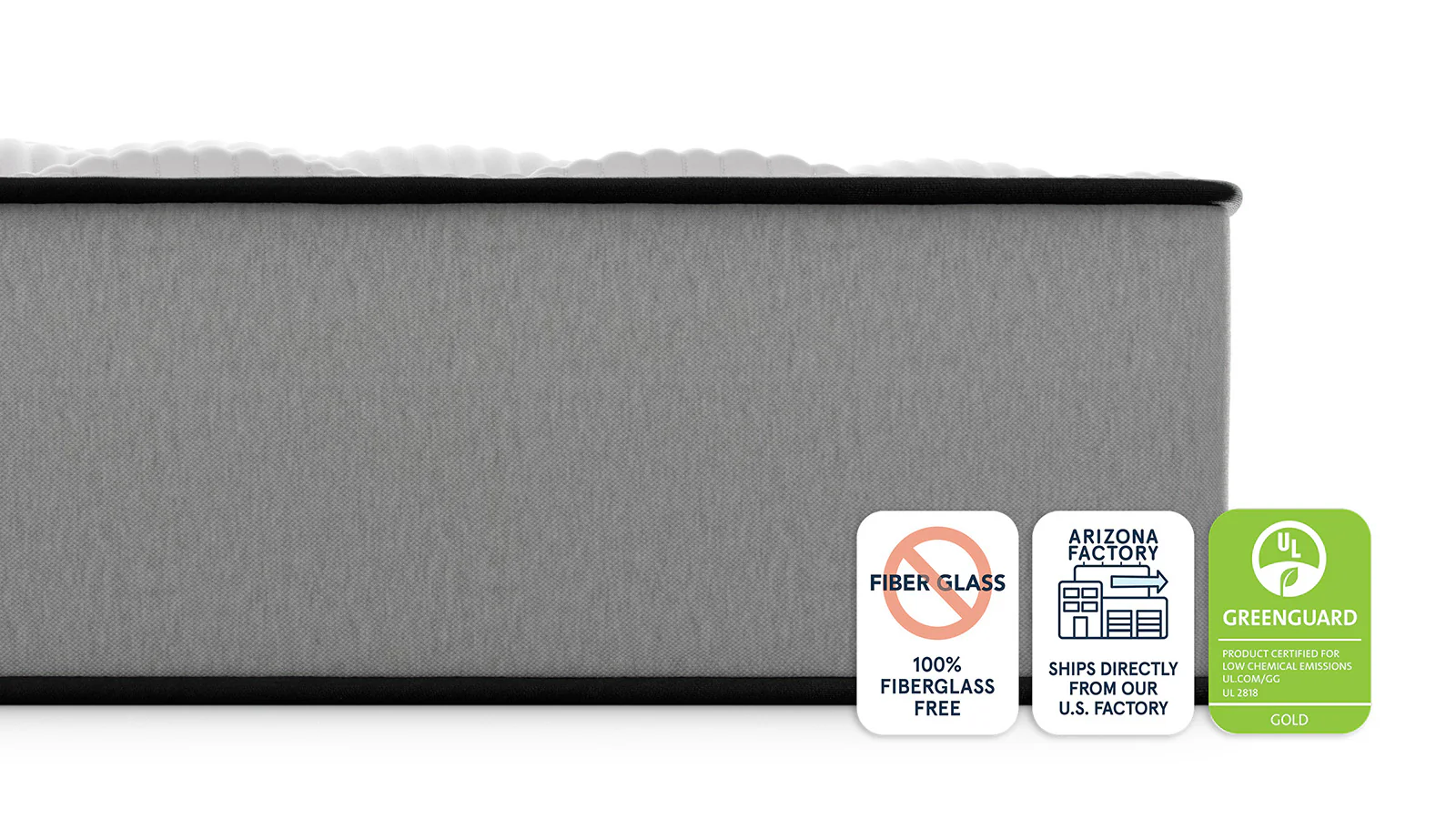 Bear Pro Foam - Image 4