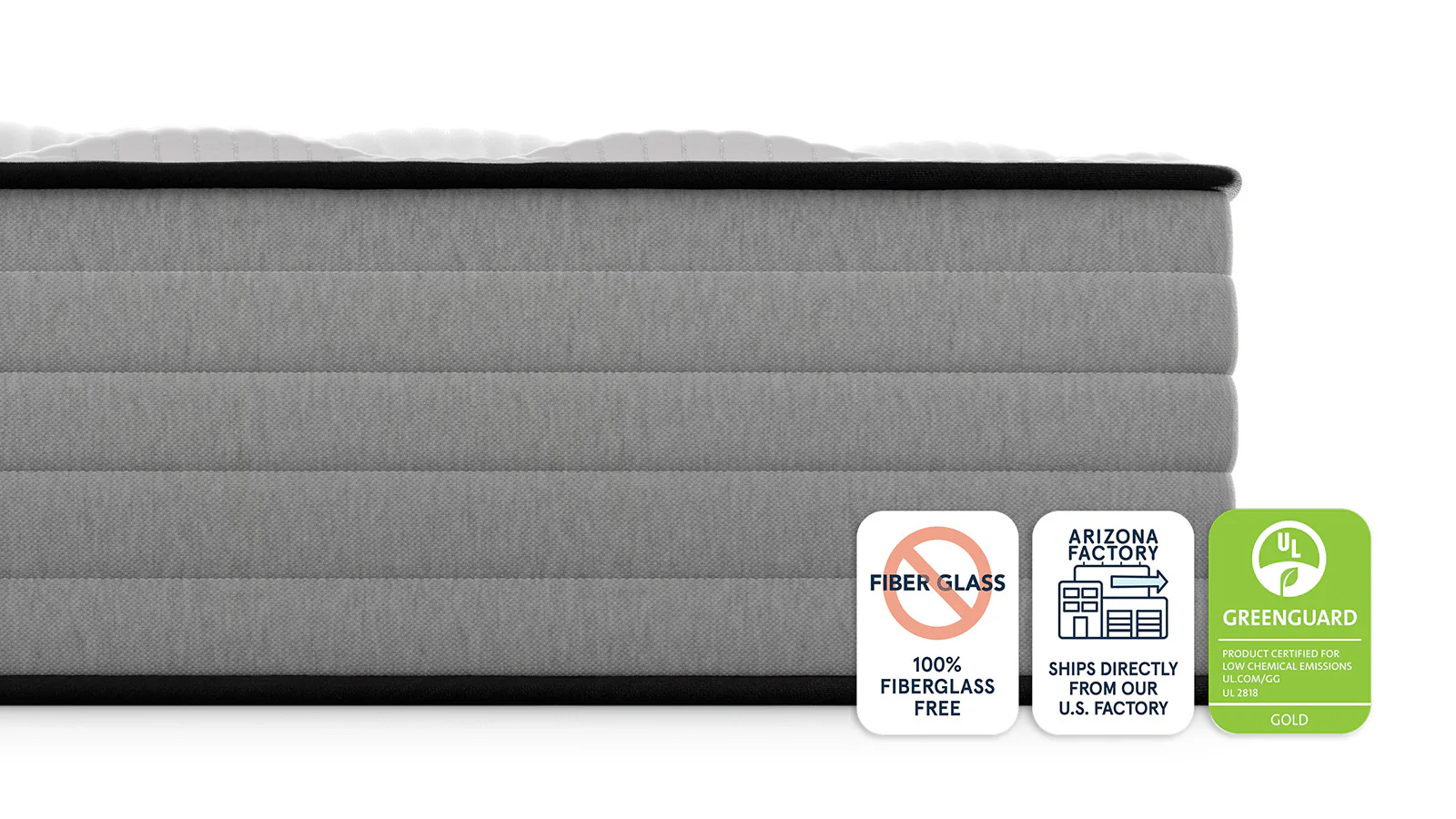 Bear Pro Hybrid - Image 5